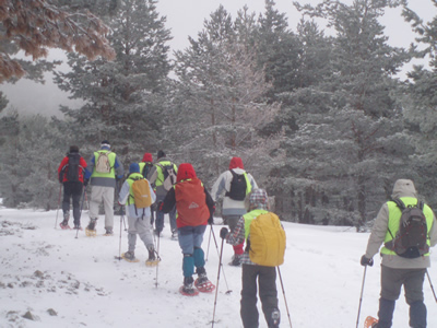 Raquetas en Santa In&eacute;s